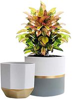The Largest Selection of Indoor Plant Pots! The Largest Selection of Indoor Plant Pots!