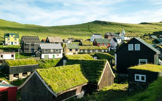 Greenroofs