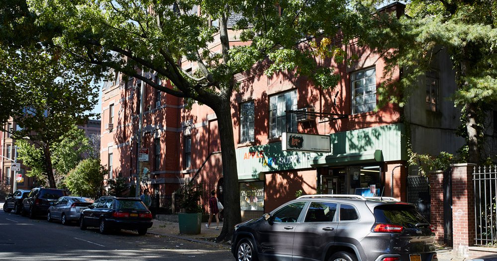 Carroll Gardens Neighborhood Review Brooklyn Guide 2024