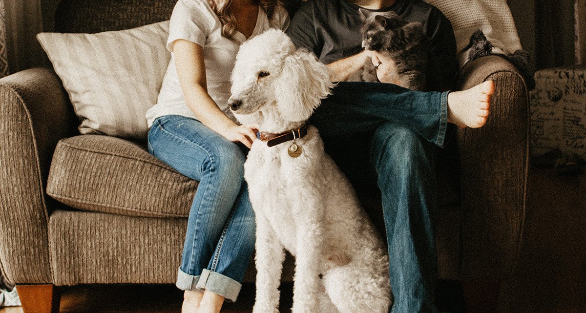 8 Best Pet Insurance Companies in New Jersey of 2024