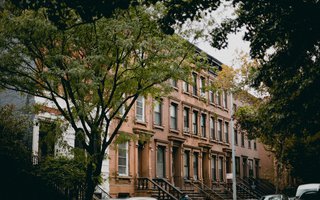 Harlem Neighborhood