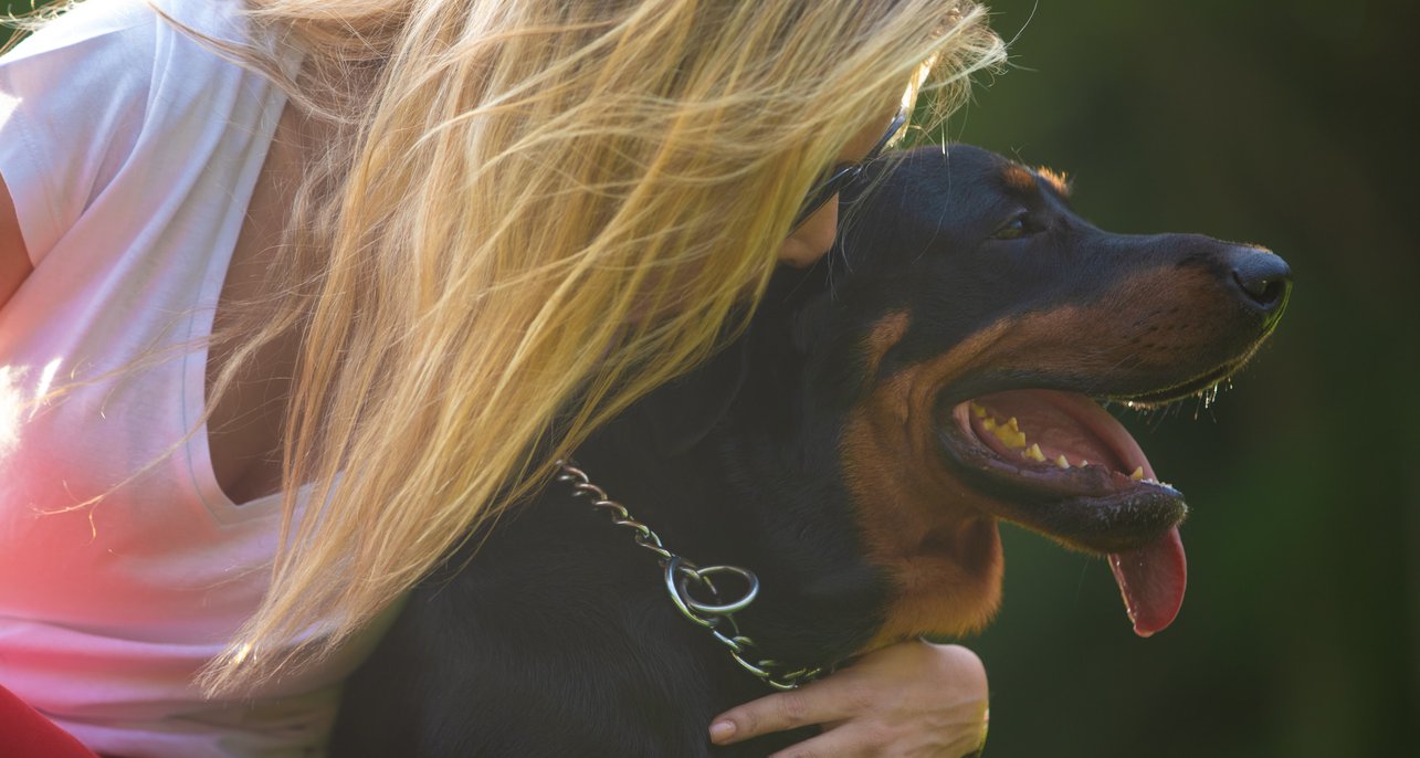 Which Dog Breeds Are Covered by Homeowners Insurance?