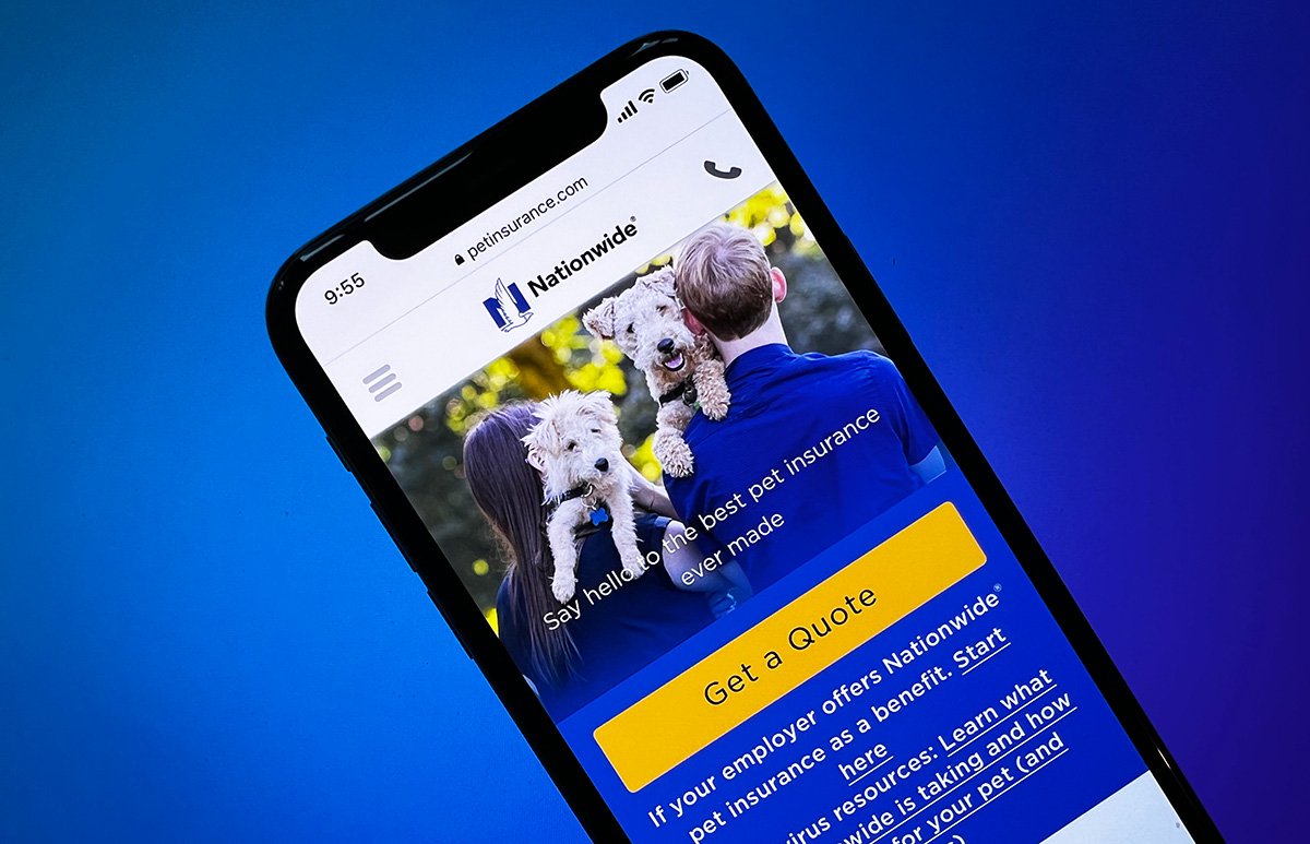 9 Best Pet Insurance Companies in New York of 2024