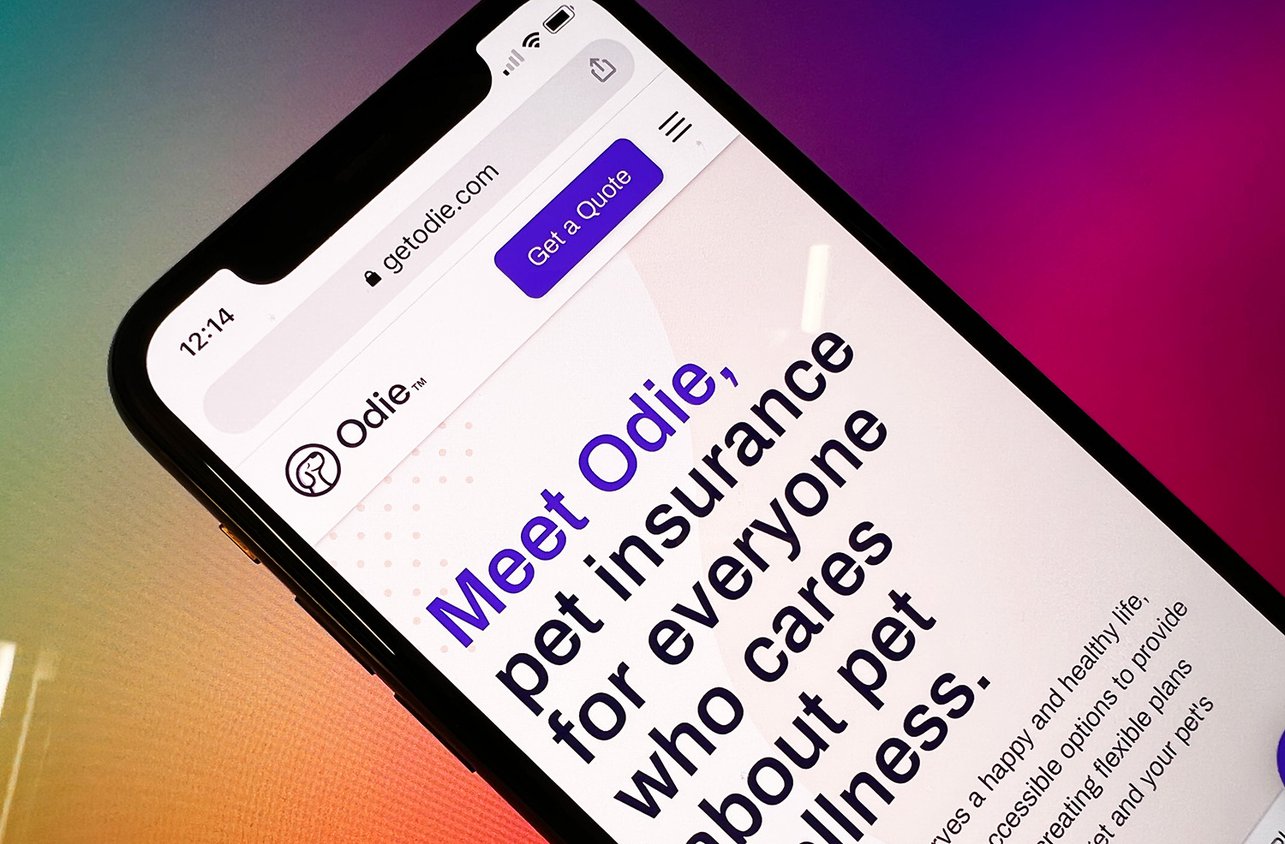 9 Best Pet Insurance Companies in New York of 2024